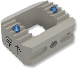 BIA Interbody Fusion Cage